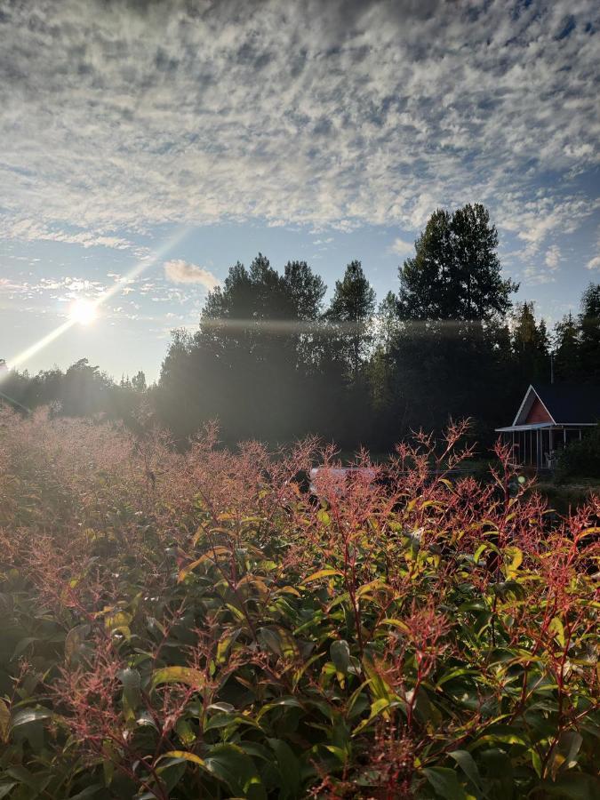 Hannunluhdan Lomamoekit Karijoki Eksteriør billede